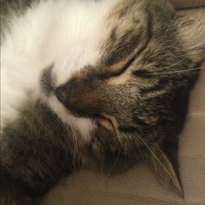 Meet your Posher, Rochelle